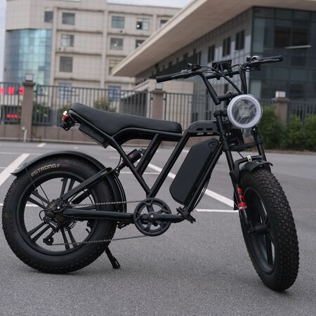 <b>48V电动车铅酸电池</b>